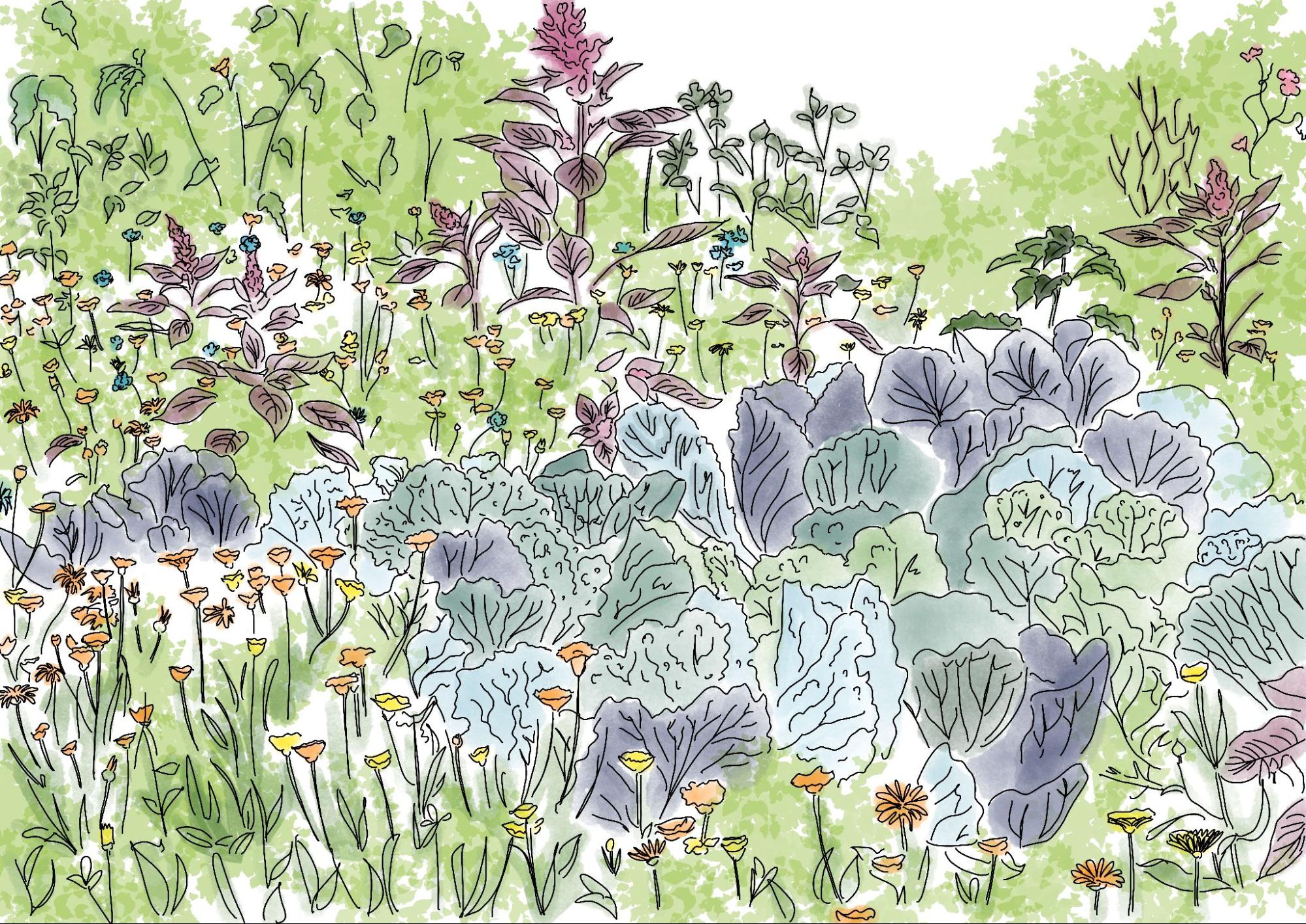 Fleurs à bulbes - Jardiner Malin : jardinage et recettes de saison