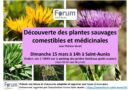 Sortie plantes sauvages comestibles