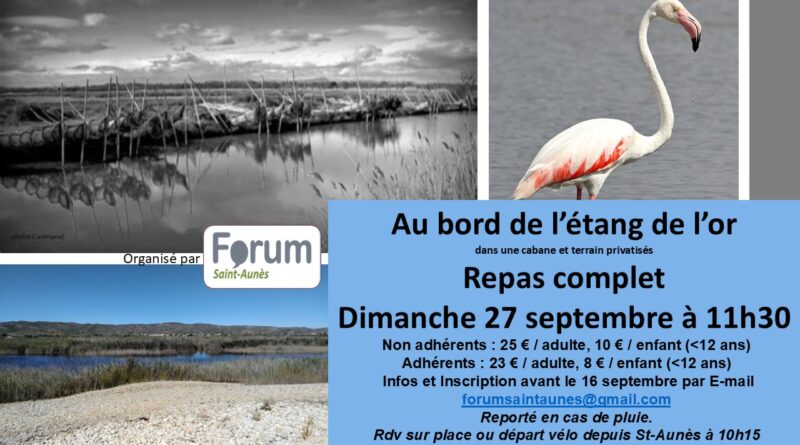 Journée au bord de l&rsquo;étang de l&rsquo;or