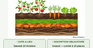 🌱 ATELIER JARDINAGE GRATUIT : Création d&rsquo;une butte en lasagnes ! 🌾