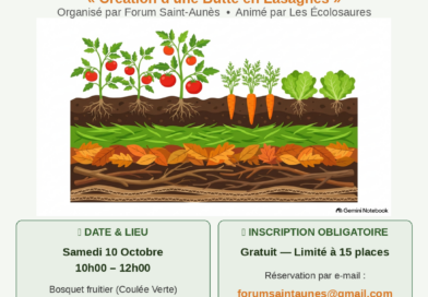 🌱 ATELIER JARDINAGE GRATUIT : Création d&rsquo;une butte en lasagnes ! 🌾